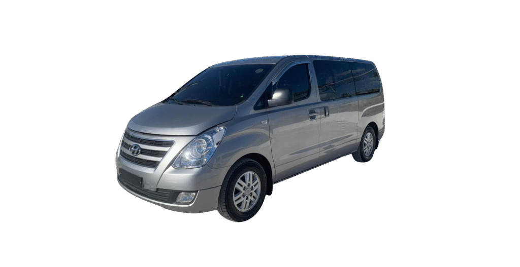 minivans disponibles traslado en punta cana